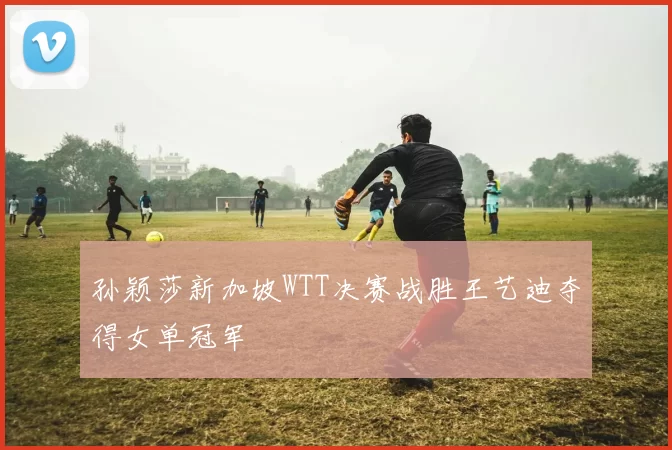 孙颖莎新加坡WTT决赛战胜王艺迪夺得女单冠军